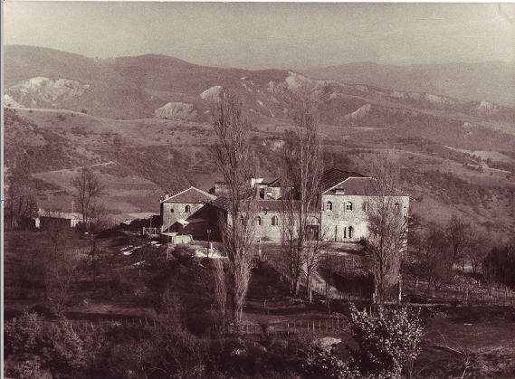 Amona01.jpg